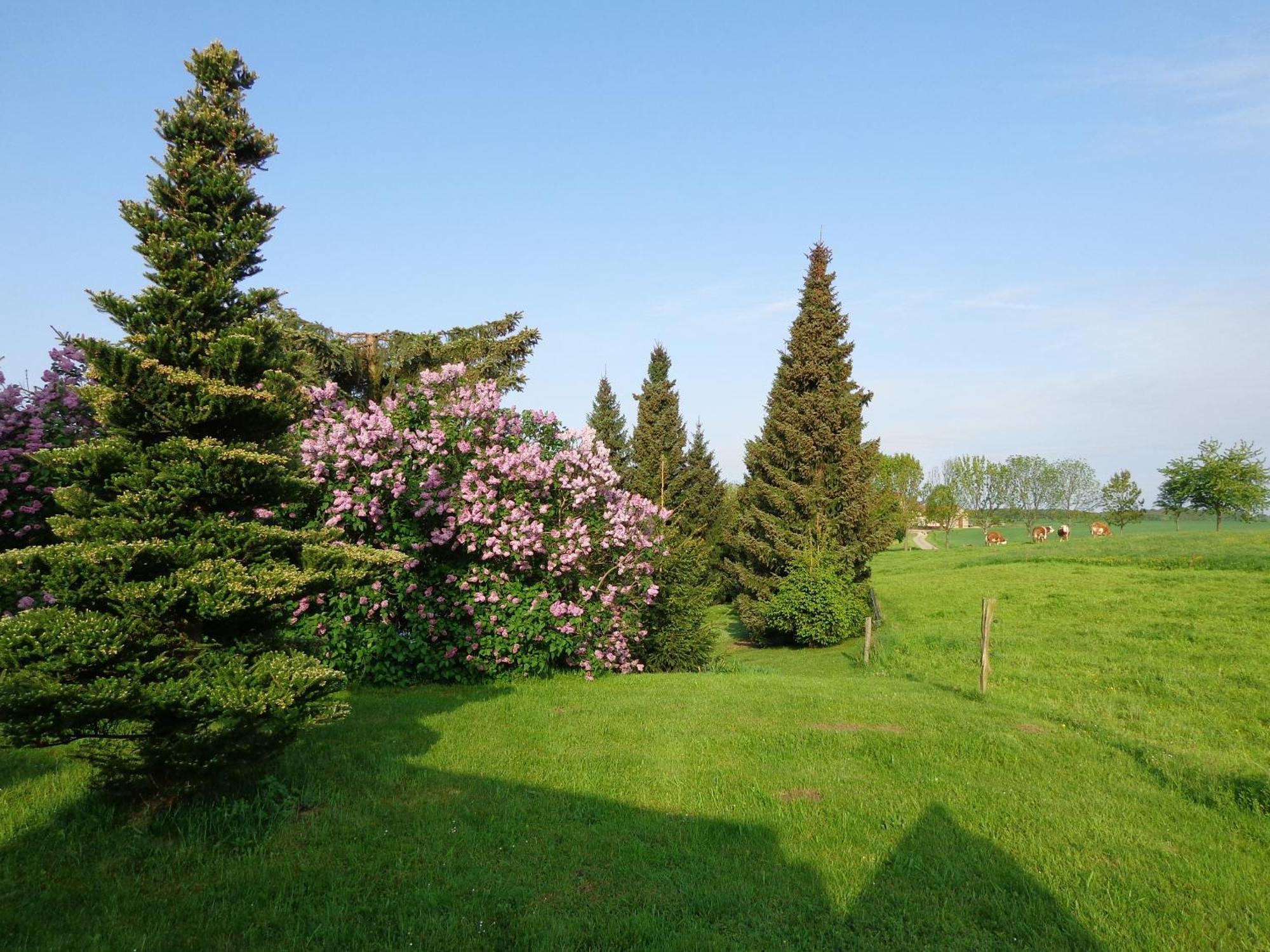 Pension Sonnenhuegel Markersdorf Buitenkant foto