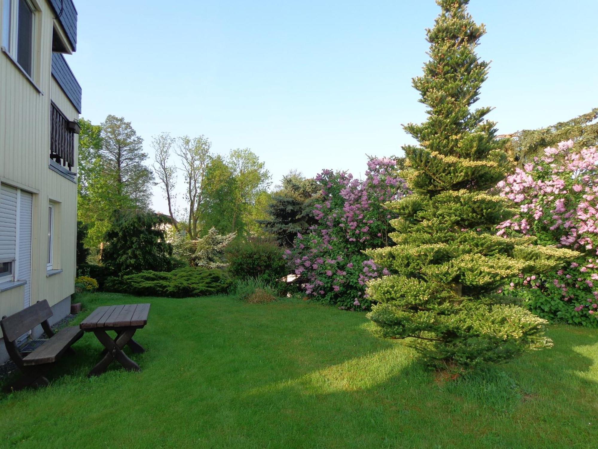 Pension Sonnenhuegel Markersdorf Buitenkant foto